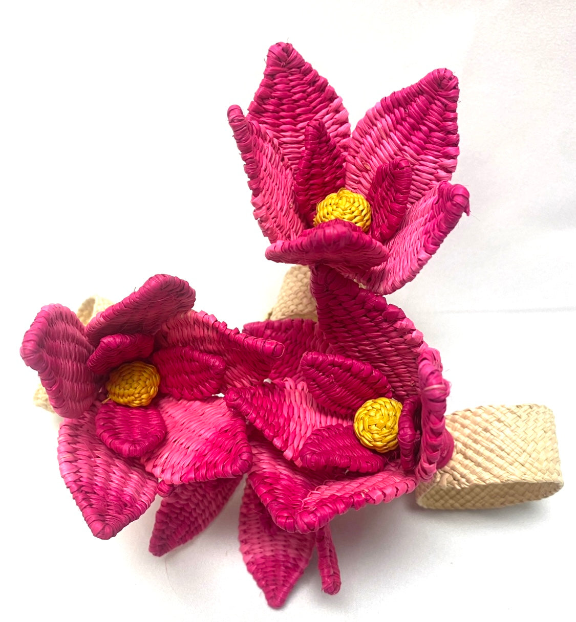 Flower Wheels Raffia Placemats — Set of 4/Poppy Green, Pink